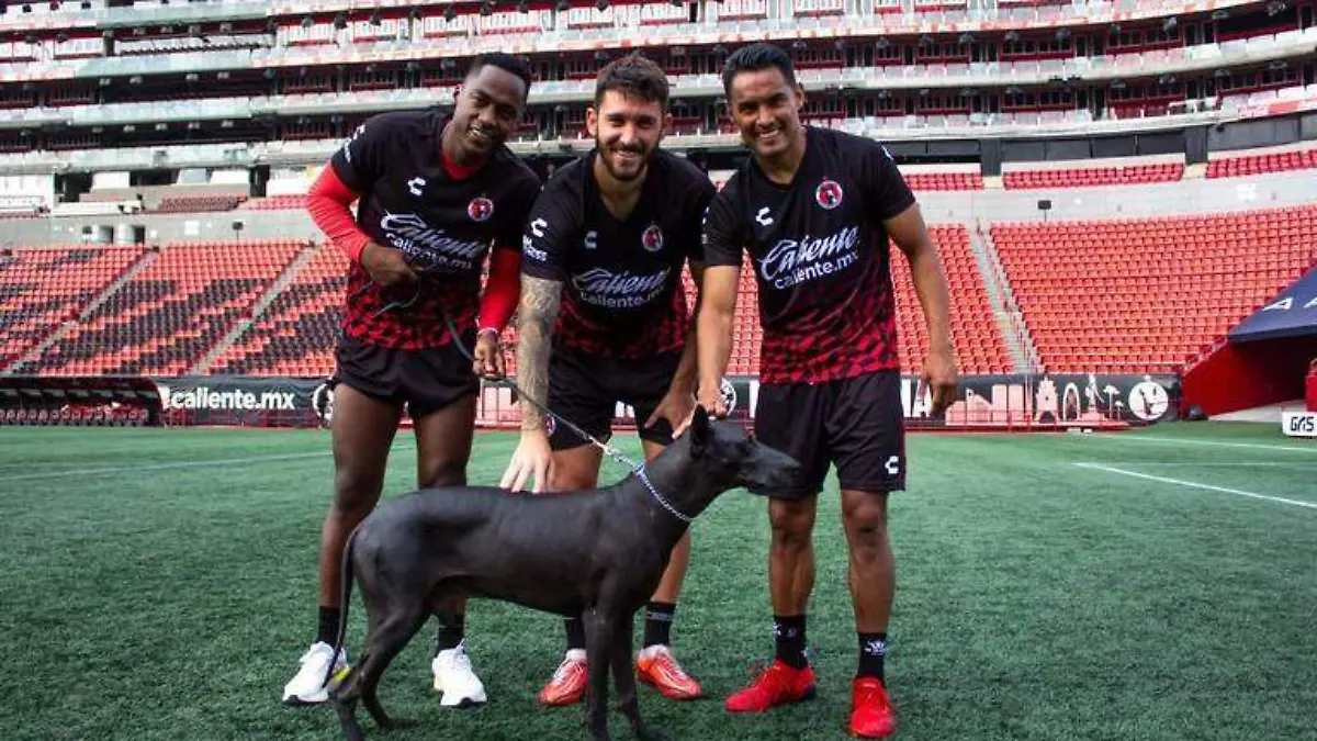 XOLO CLUB TIJUANA