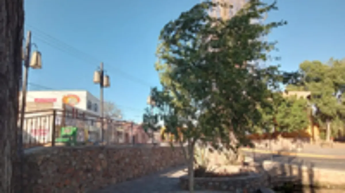 c55aff21-4a48-49b5-a894-ddd517dbb2b9