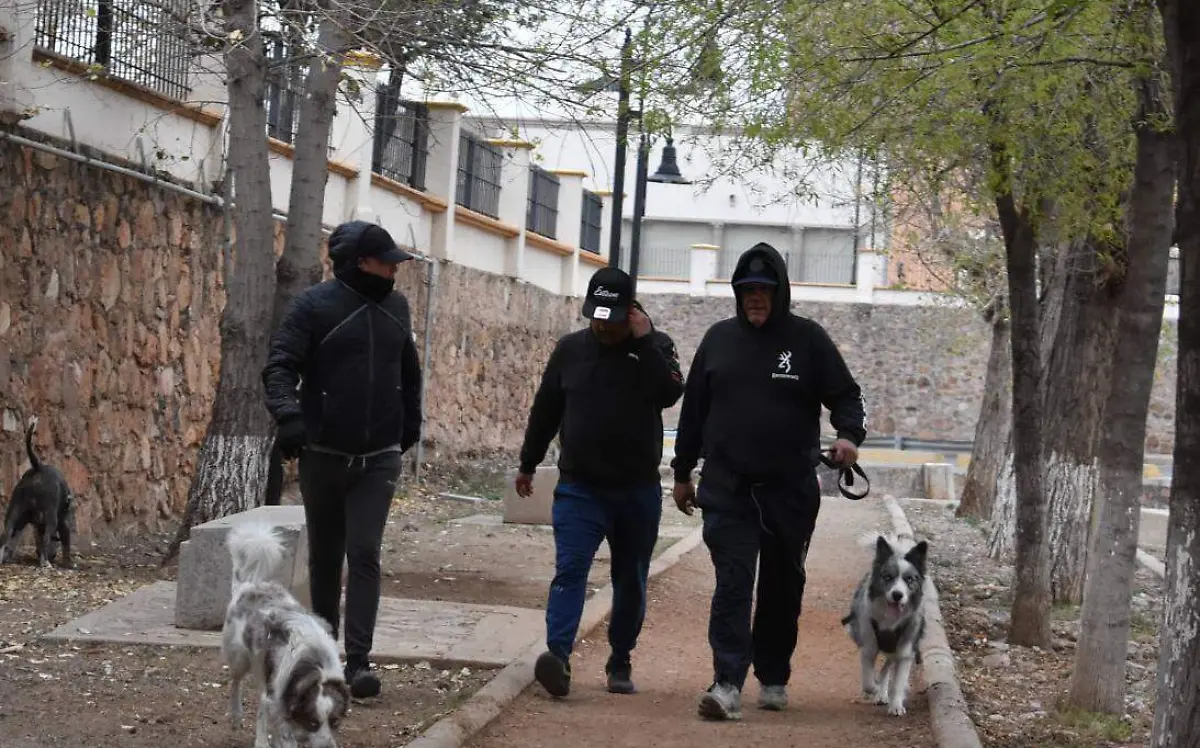 invierno seguro 3