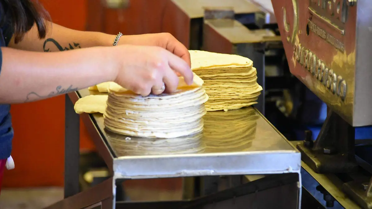 Tortilla 1