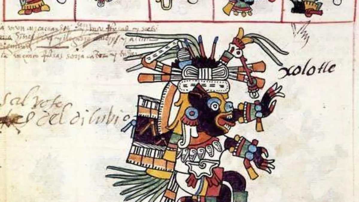 xolo secretaria de cultura