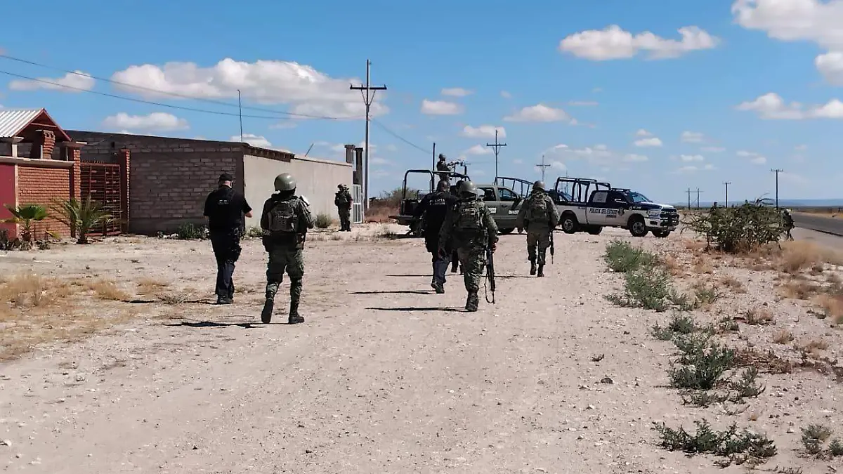 vigilancia