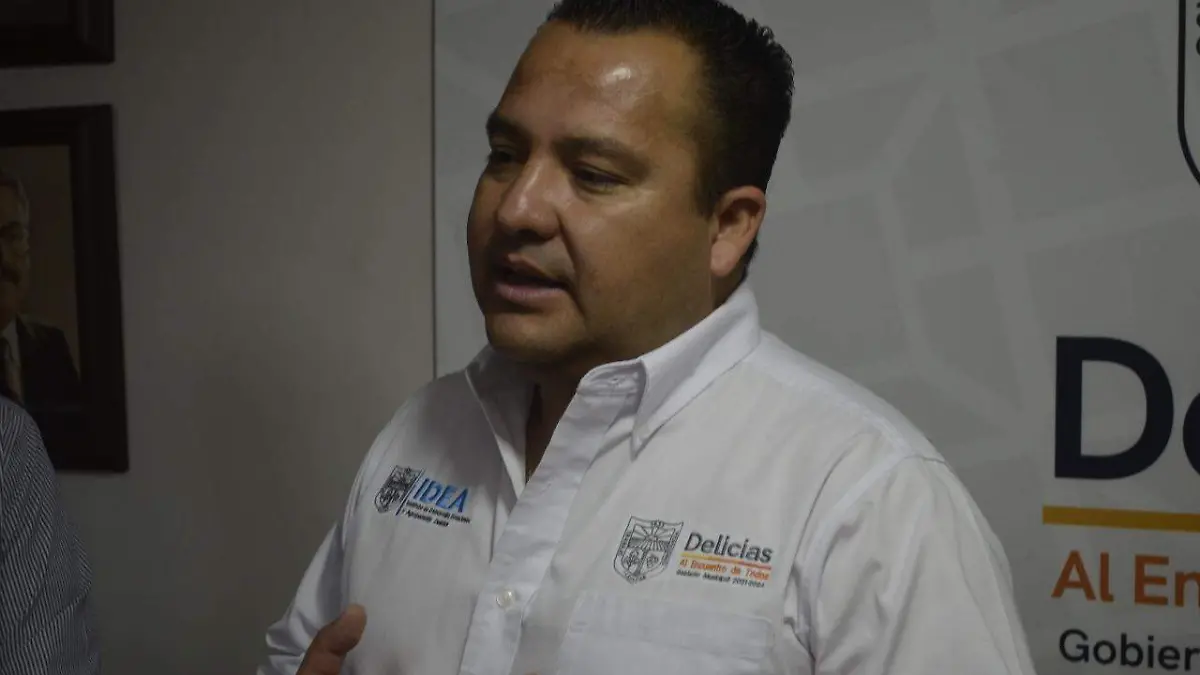 delicias