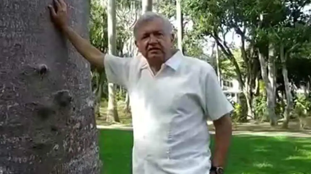 amlo