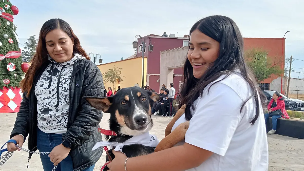 Pasarela Canina en el Pabellón Revolucionario 