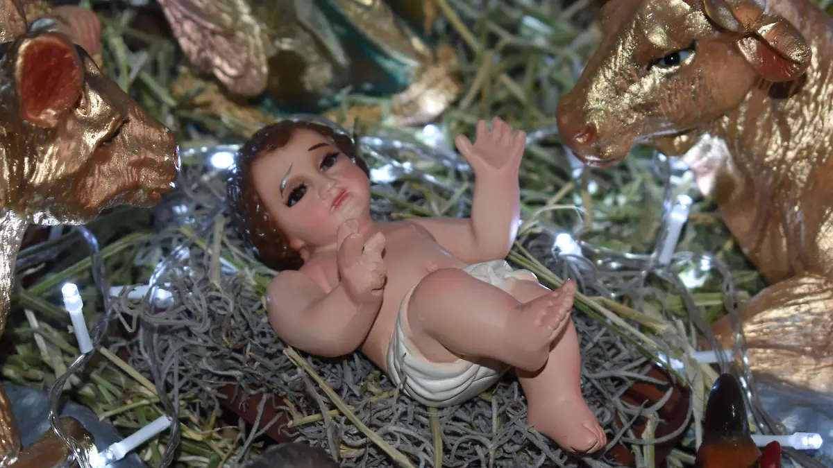 nacimiento 2 -15 de diciembre