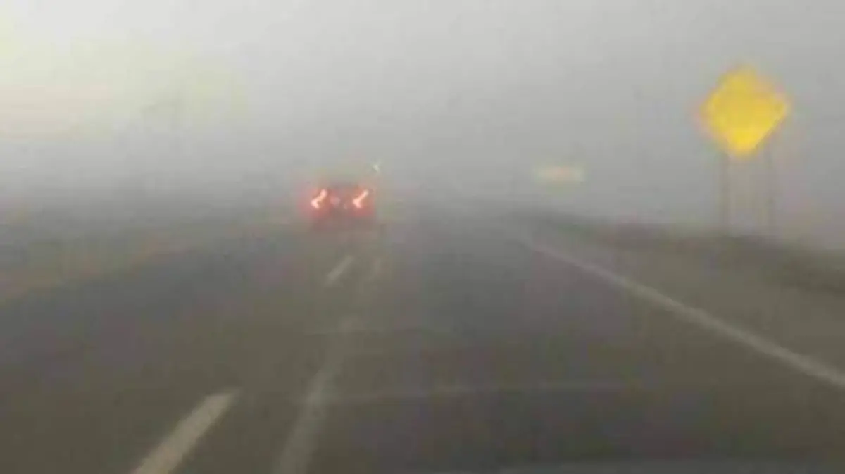 Image 2019-01-16 at 8.26.55 AM