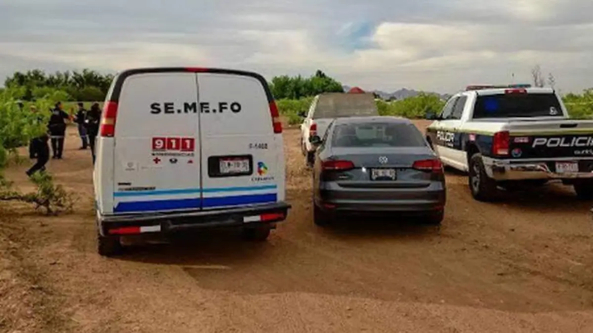 semefo 1