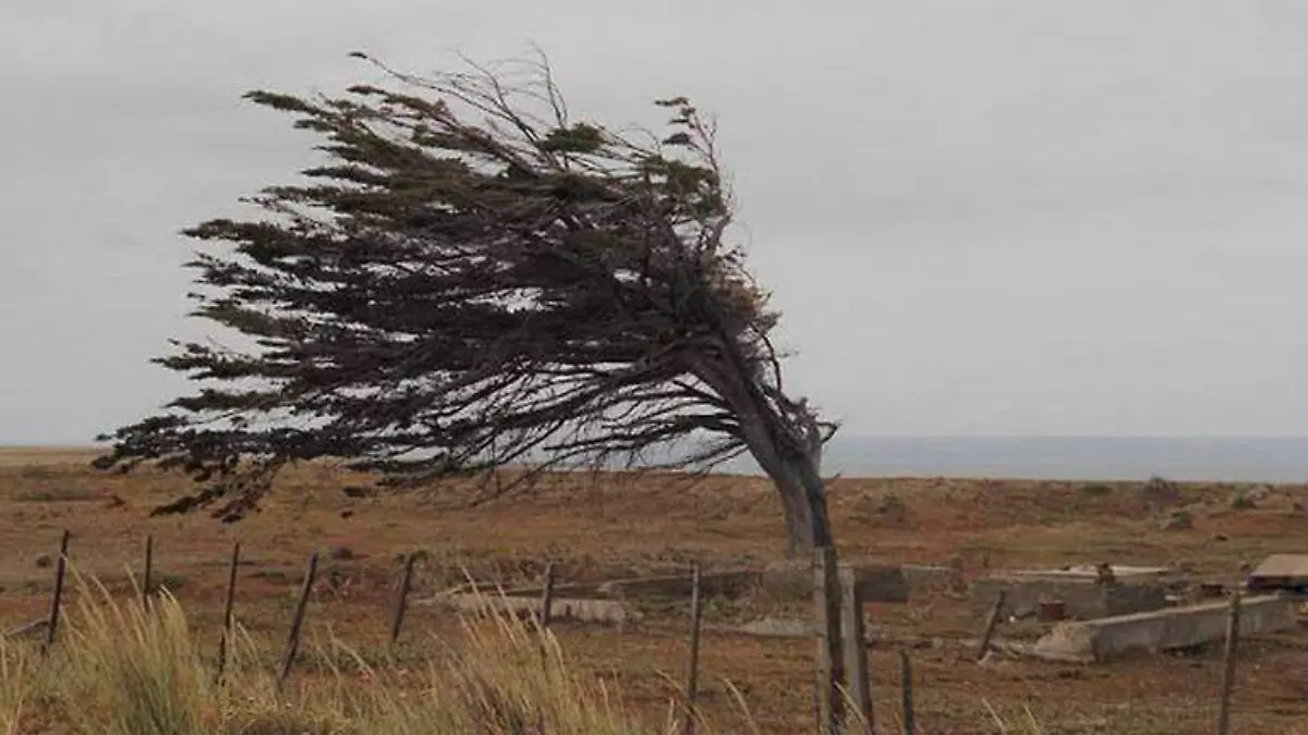 Viento