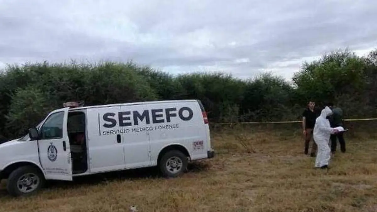 semefo