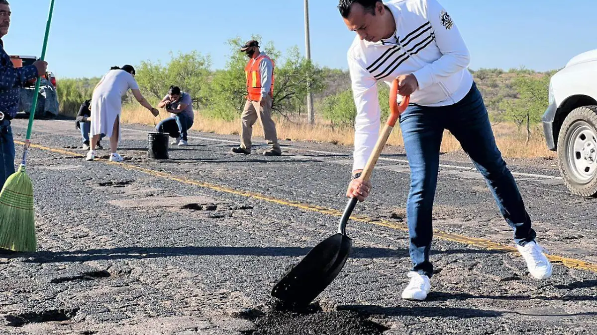 bache4