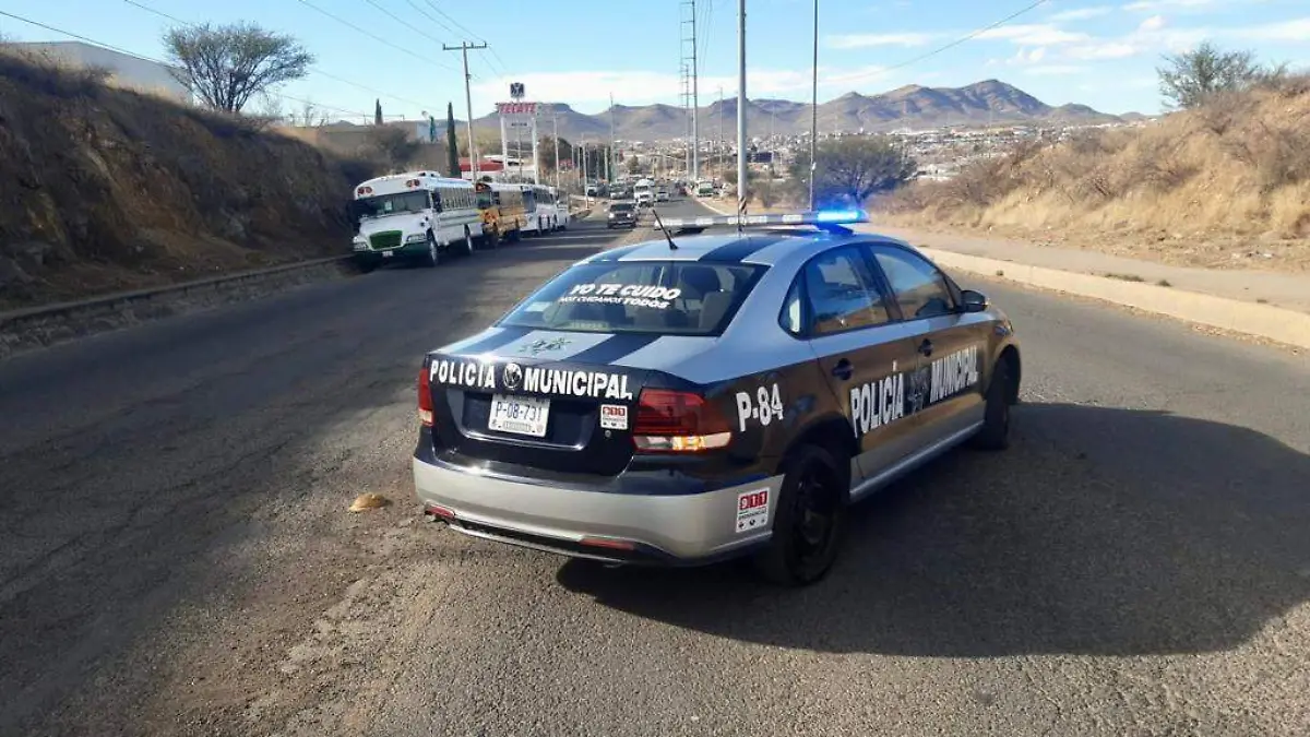 seguridad pública
