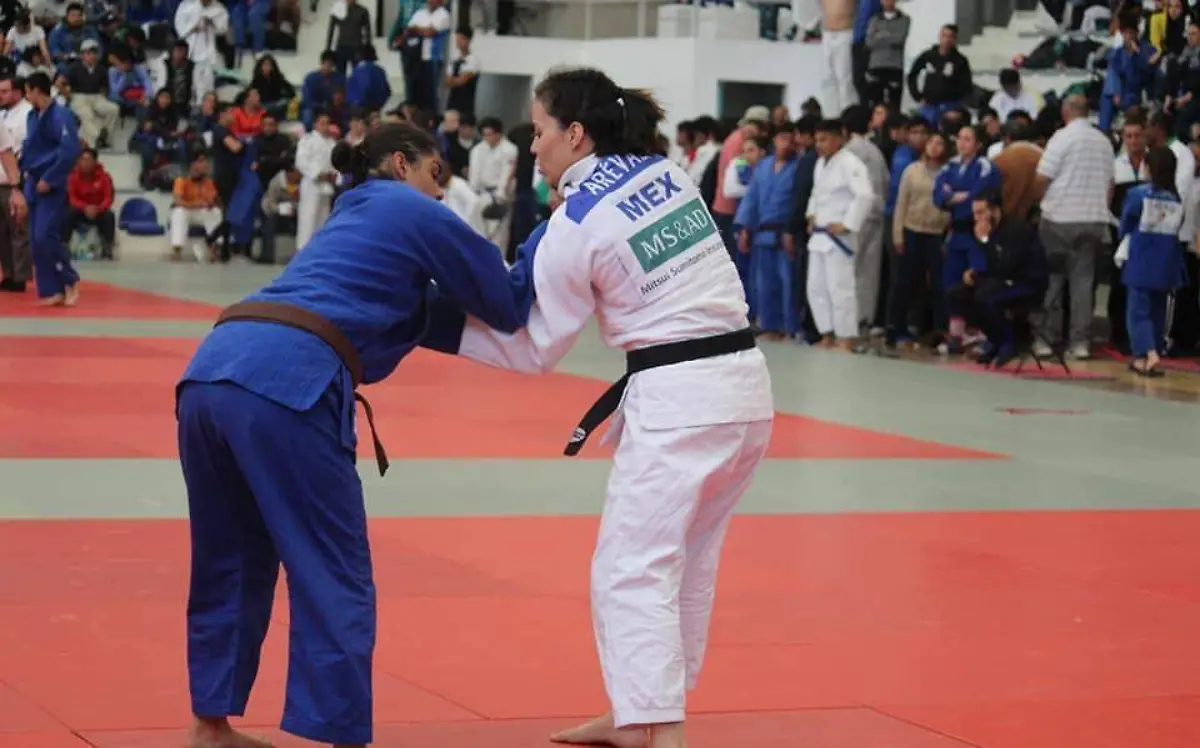 judo