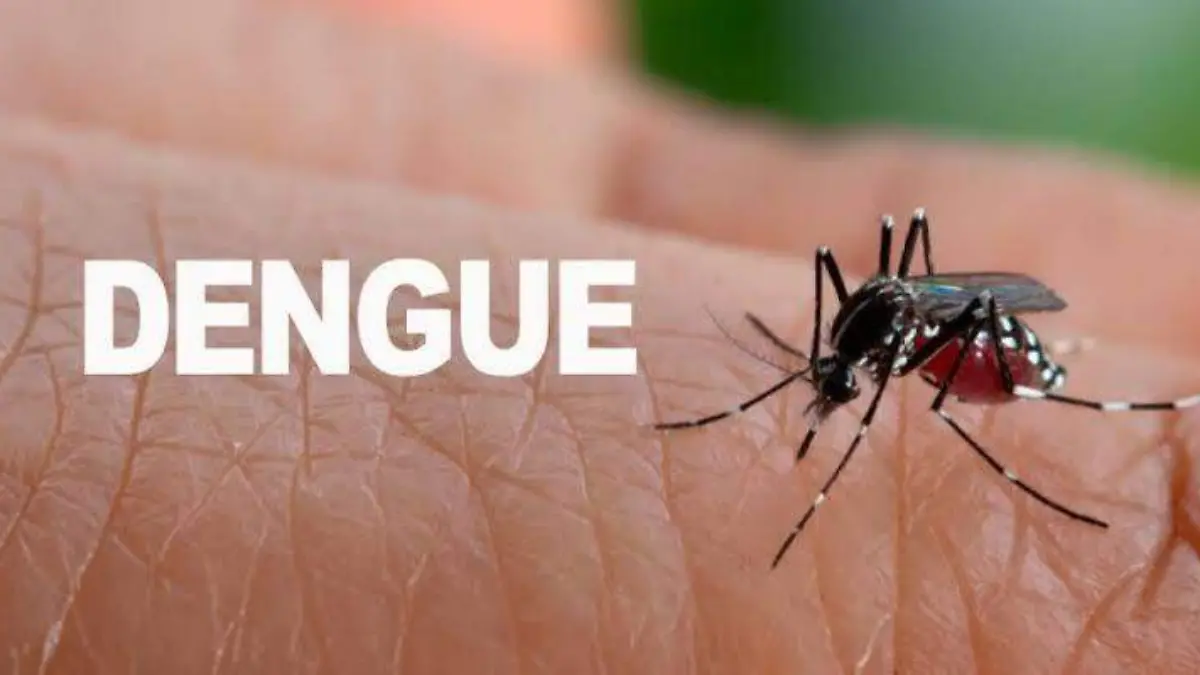 OFICIAL DENGUE