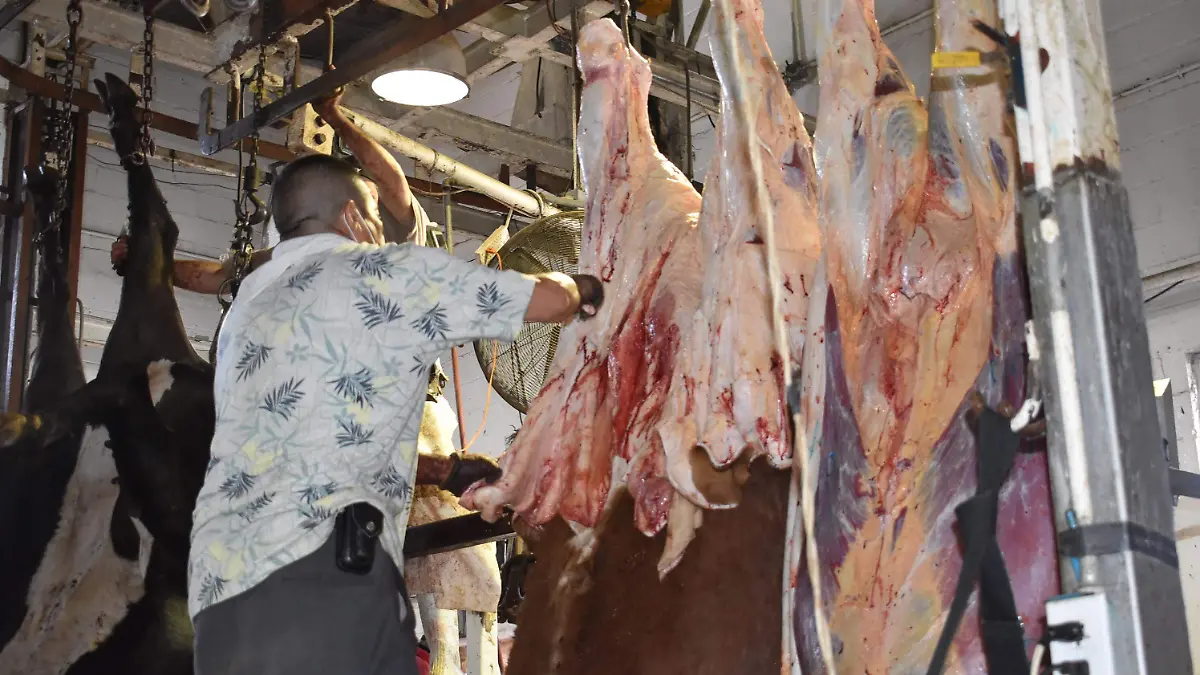 rastro 2 nota de javier