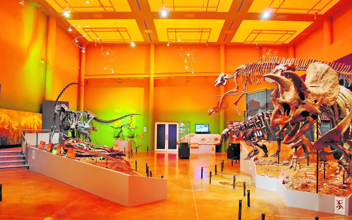 Museo del Desierto Chihuahuense_CMYK