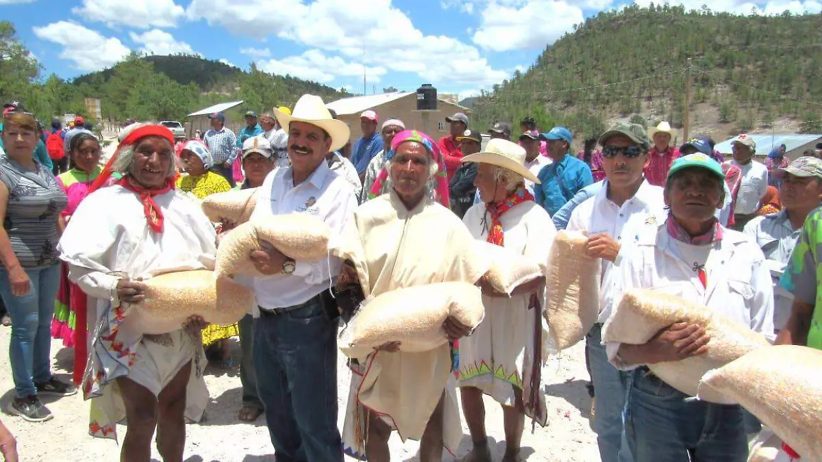 GUACHOCHI 1
