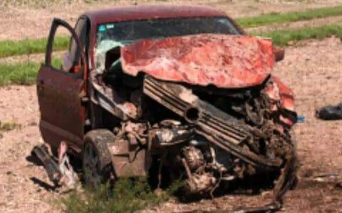 WhatsApp Image 2019-07-21 at 12.25.43 PM