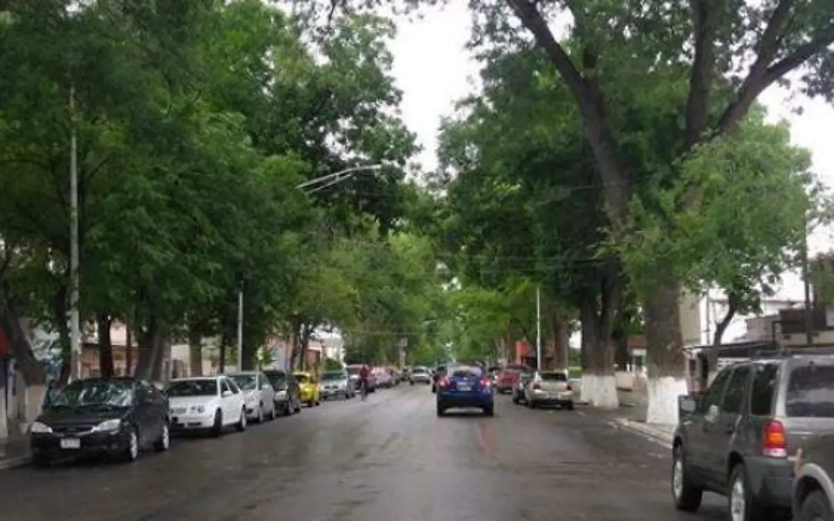 856a37f9-2529-4177-961b-6649ff6ea40e