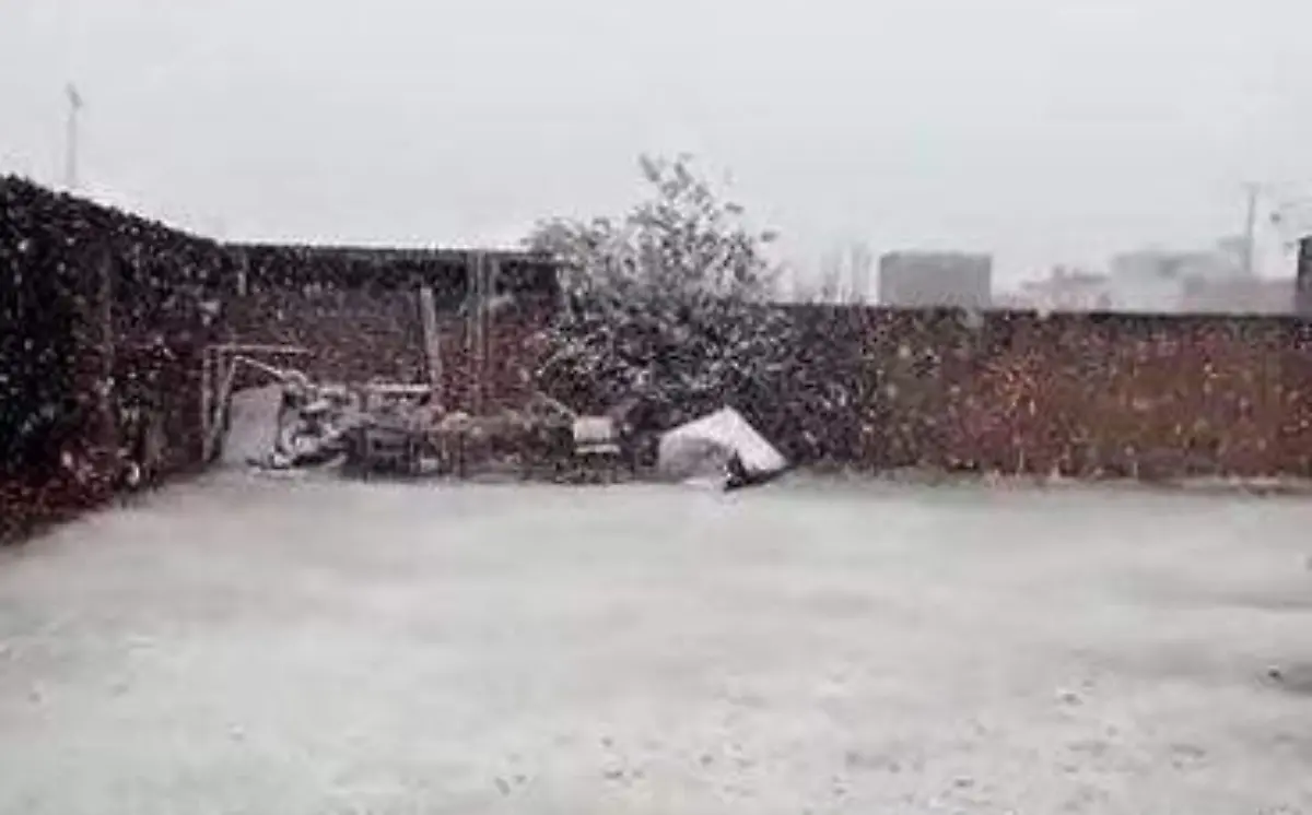 1bf400f8-ddb3-4465-b41a-abcf5793869e