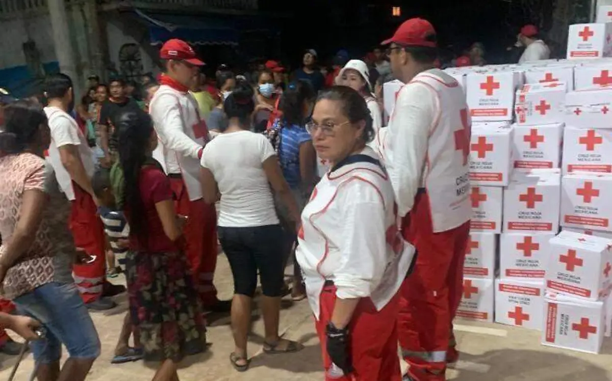 Voluntarios