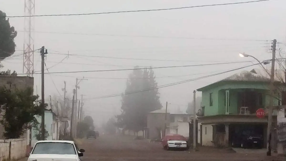 Image 2019-01-16 at 8.27.20 AM