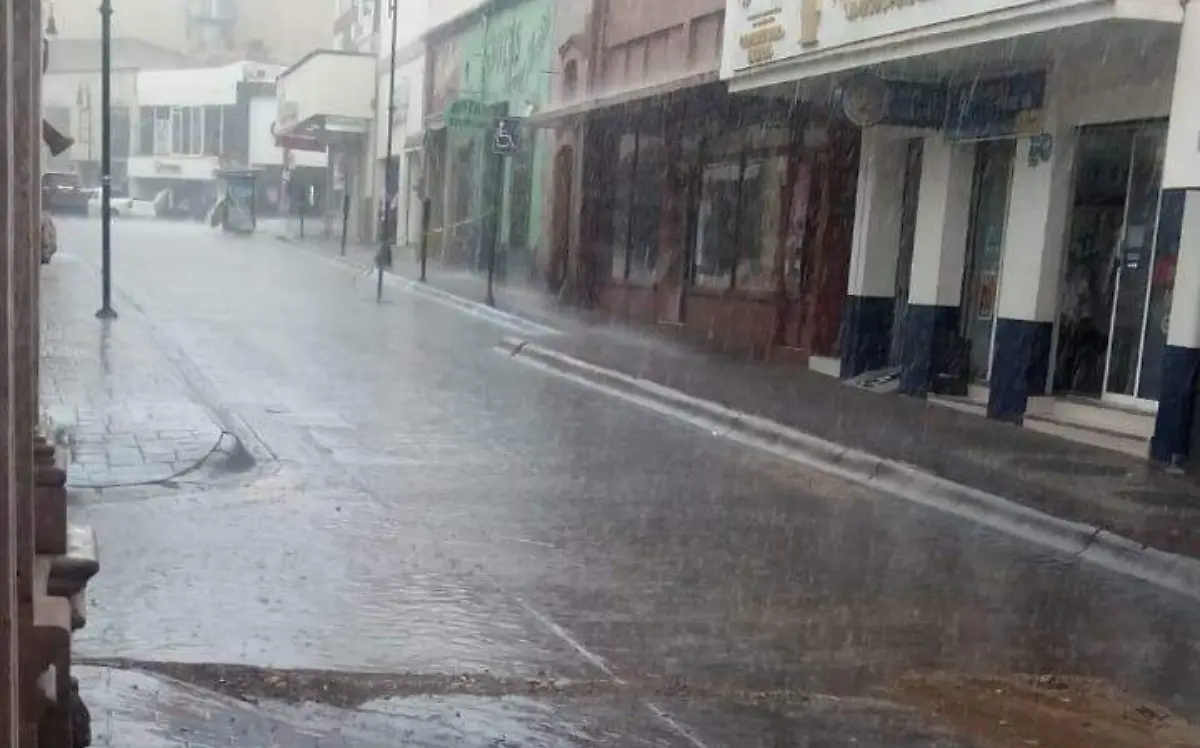 c7b0ec88-8cea-4847-8db3-cb1baab4fcb4