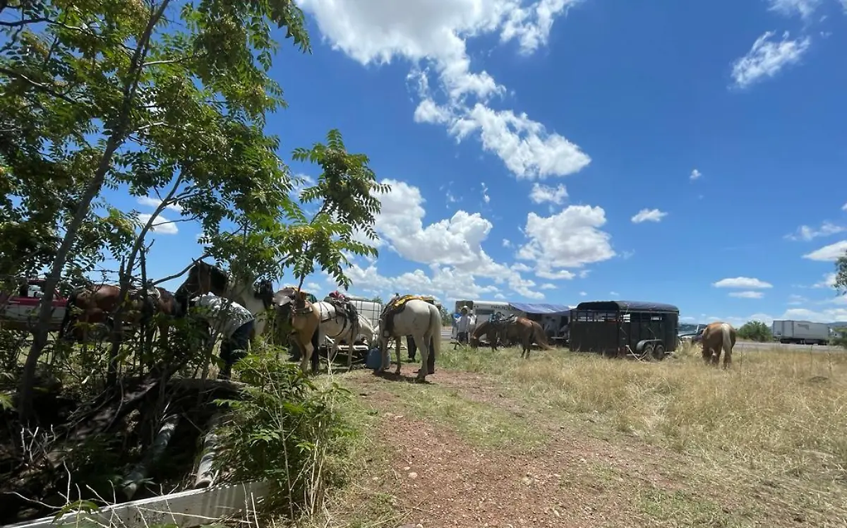 cabalgata