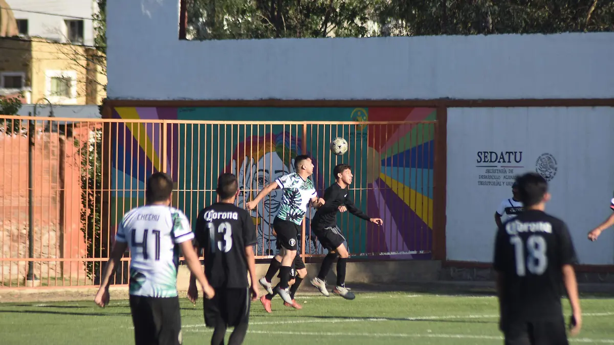 LIGA BUROCRATICA DE FUTBOL