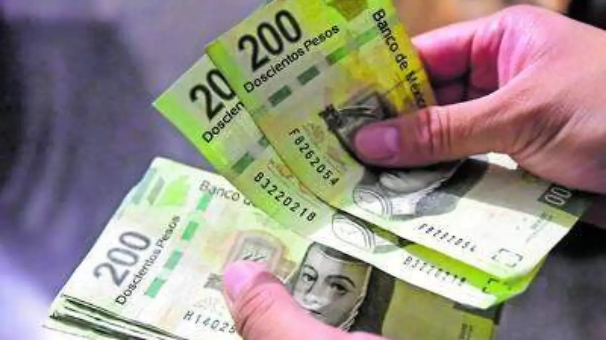 ECONOMIA ARCHIVO OEM