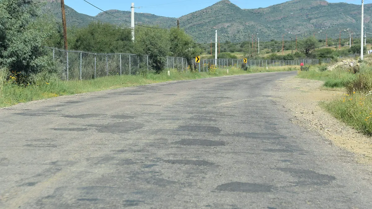 BACHEO (1)