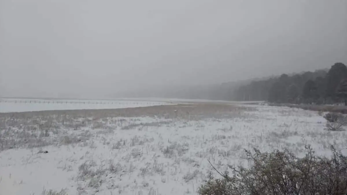 bb998581-fe0e-443d-bda3-72bb2c8d8b39