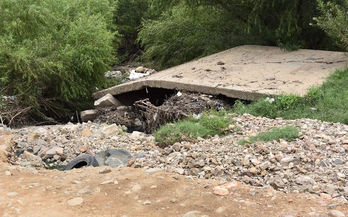 vecinos 6 nota de javier