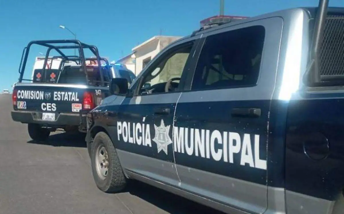 seguridad pública