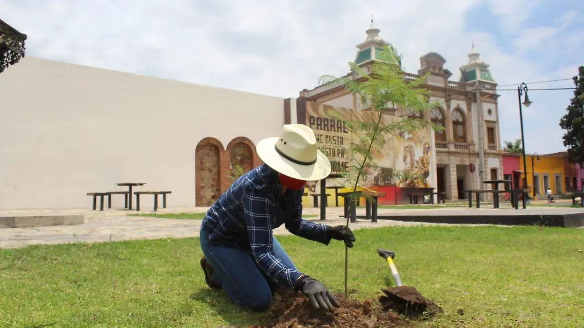 arbol