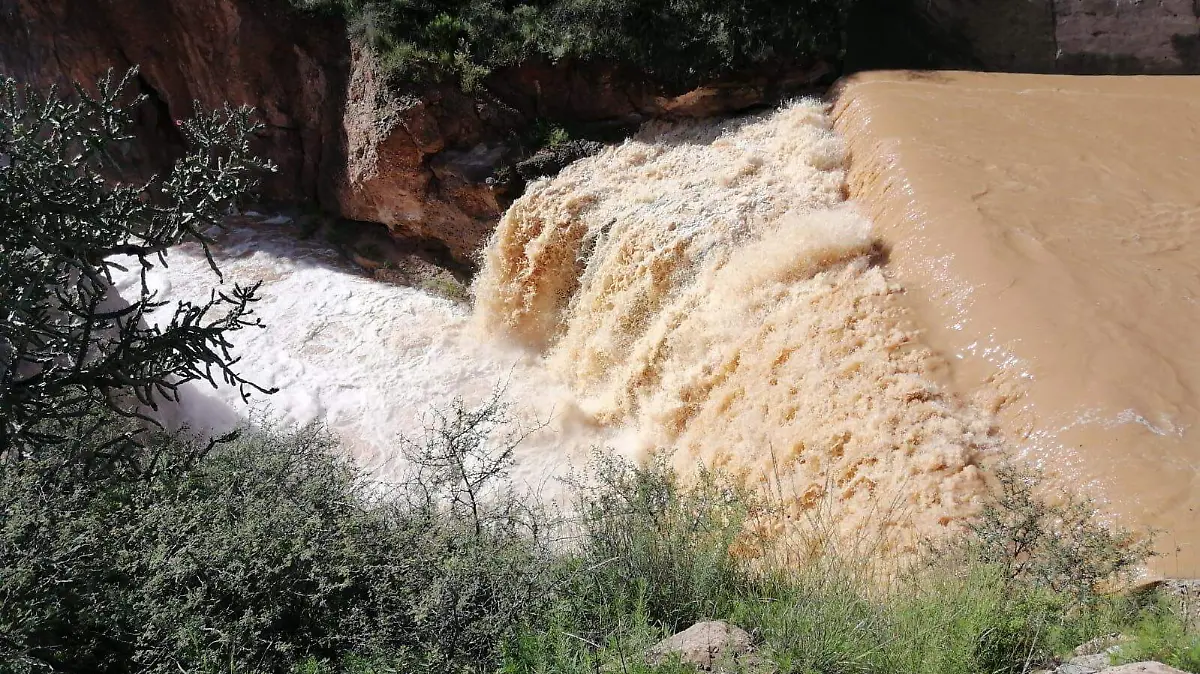 presa parral 1