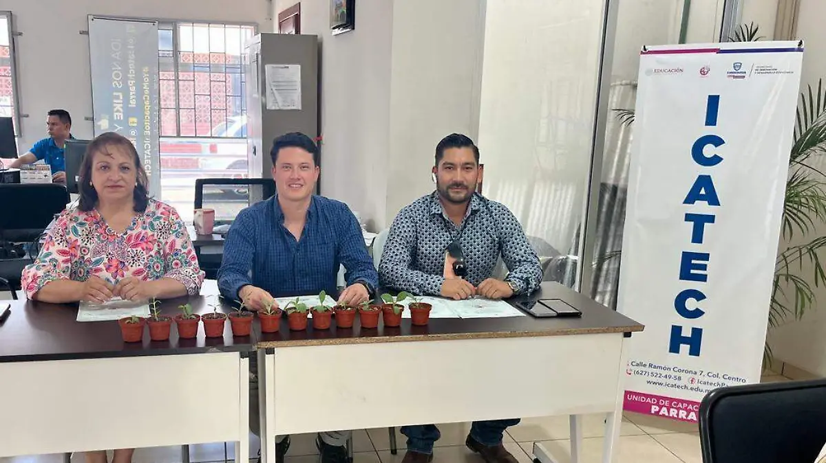 curso 3