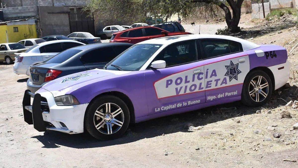 policia violeta