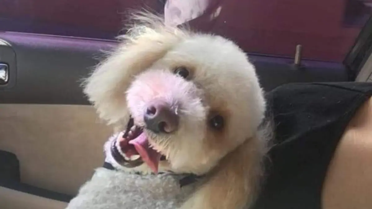 WhatsApp Image 2021-07-22 at 2.16.11 PM