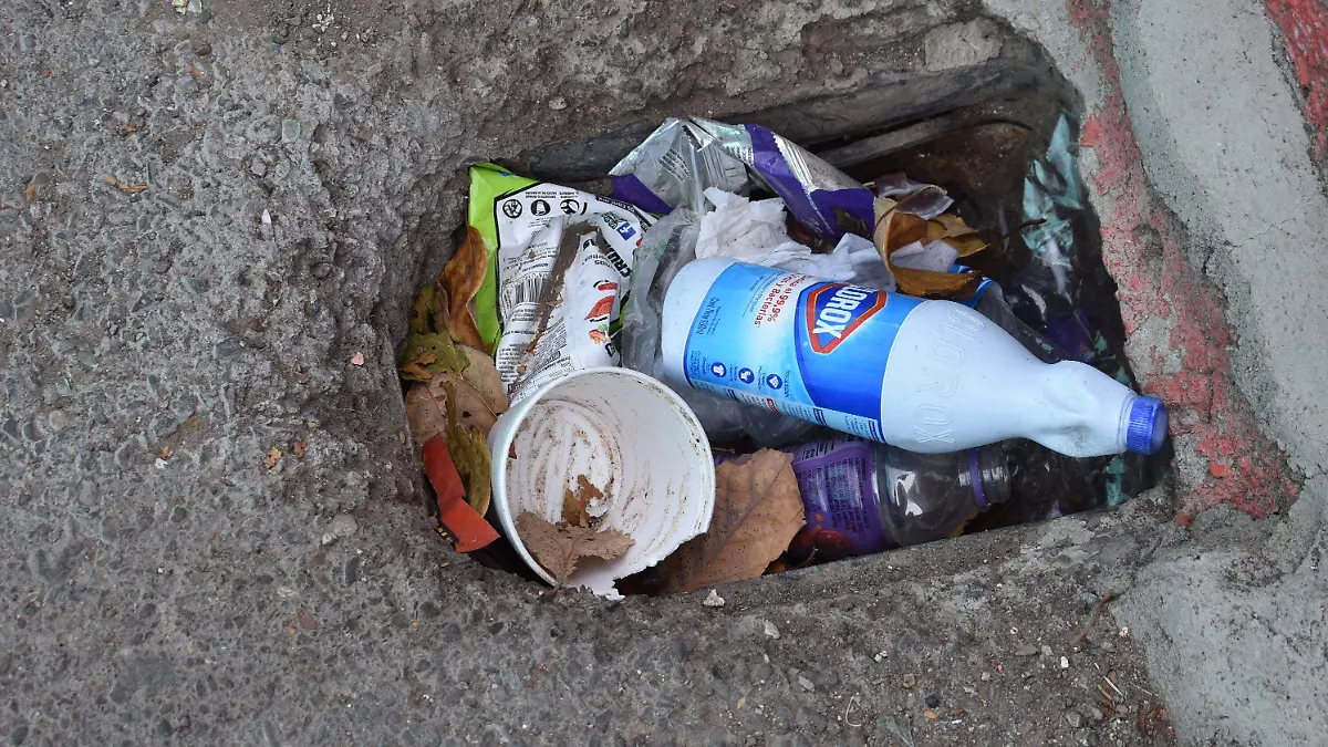 basura 2 nota de javier