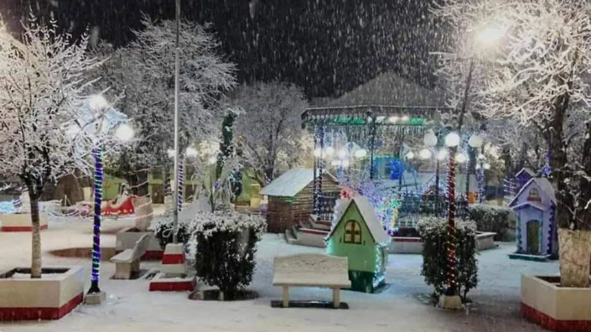 nevada_en_guadalupe_y_calvo