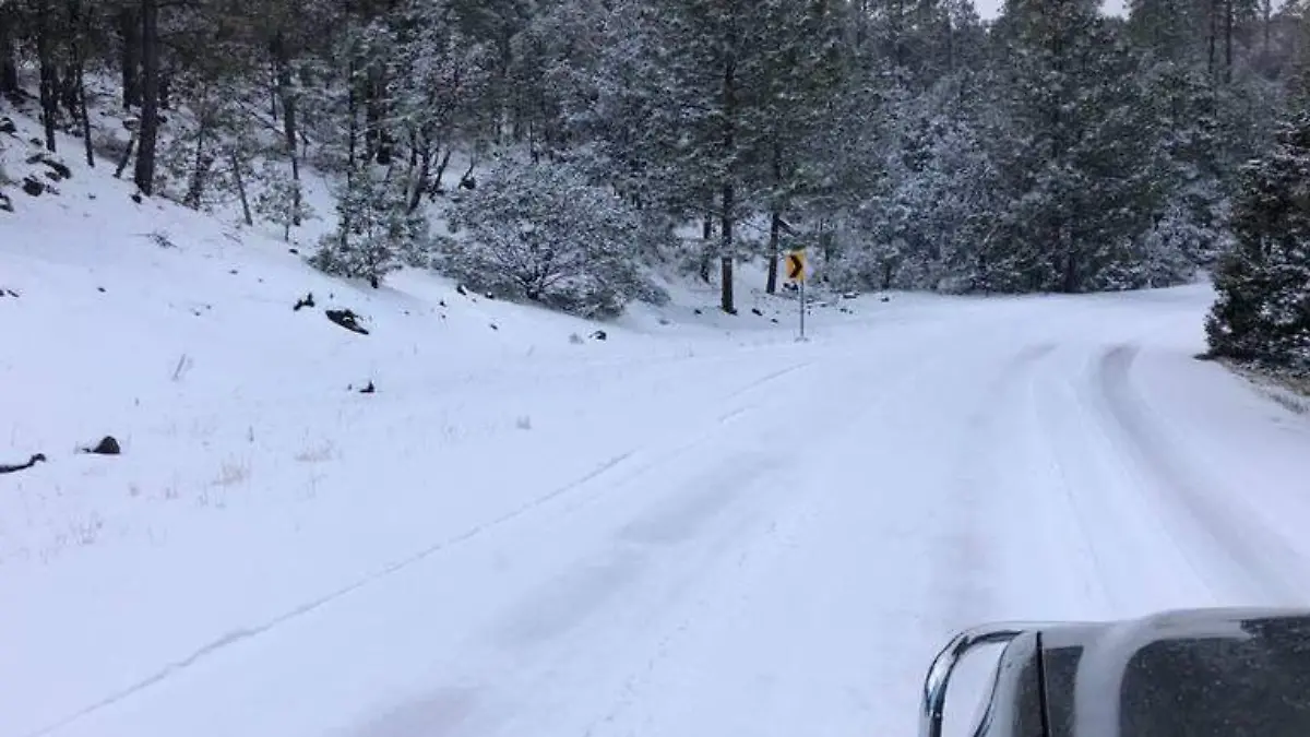 nevada 1