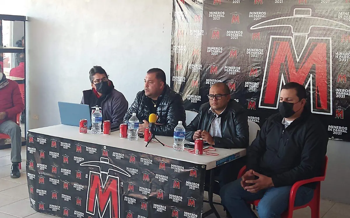 liga regional de beisbol