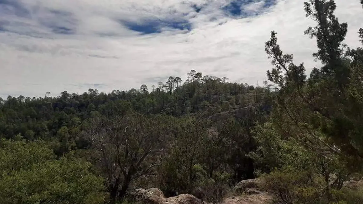 tiempo archivo oem gorki