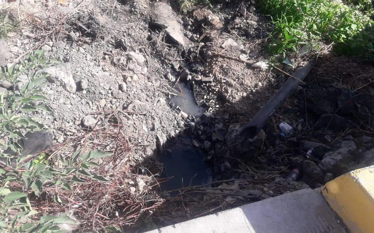 00fbb29d-3155-4a2e-9e12-8b6d04ef7130