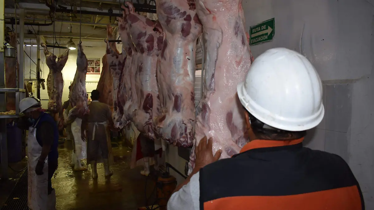 rastro 7 nota de javier