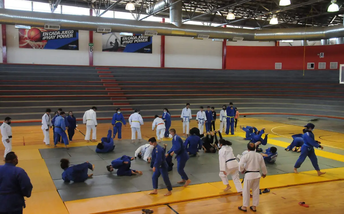 exito campamento de judo 1