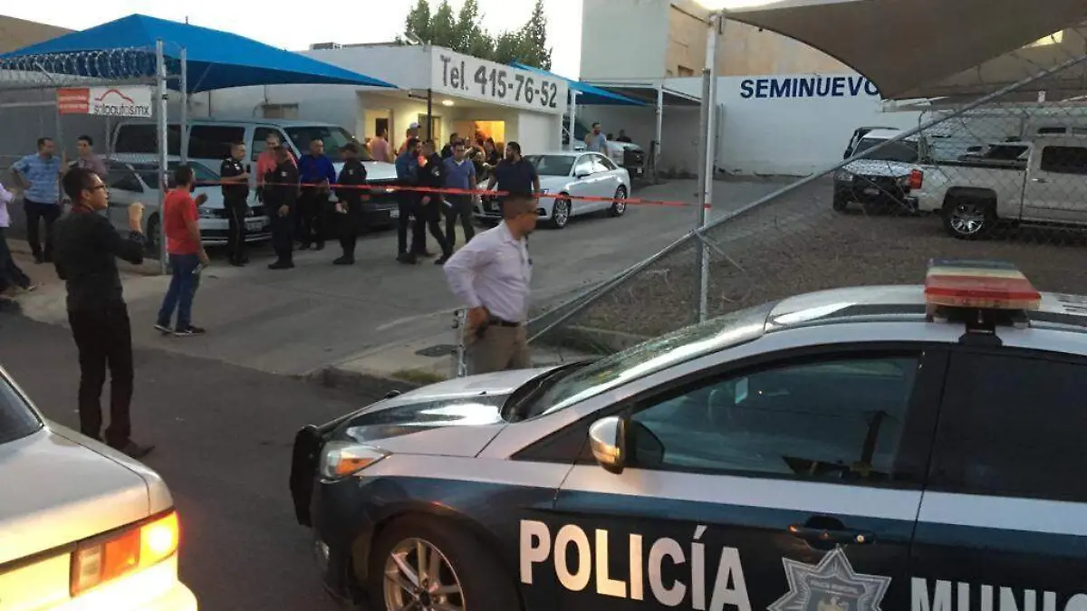 CAMIONETAS 1