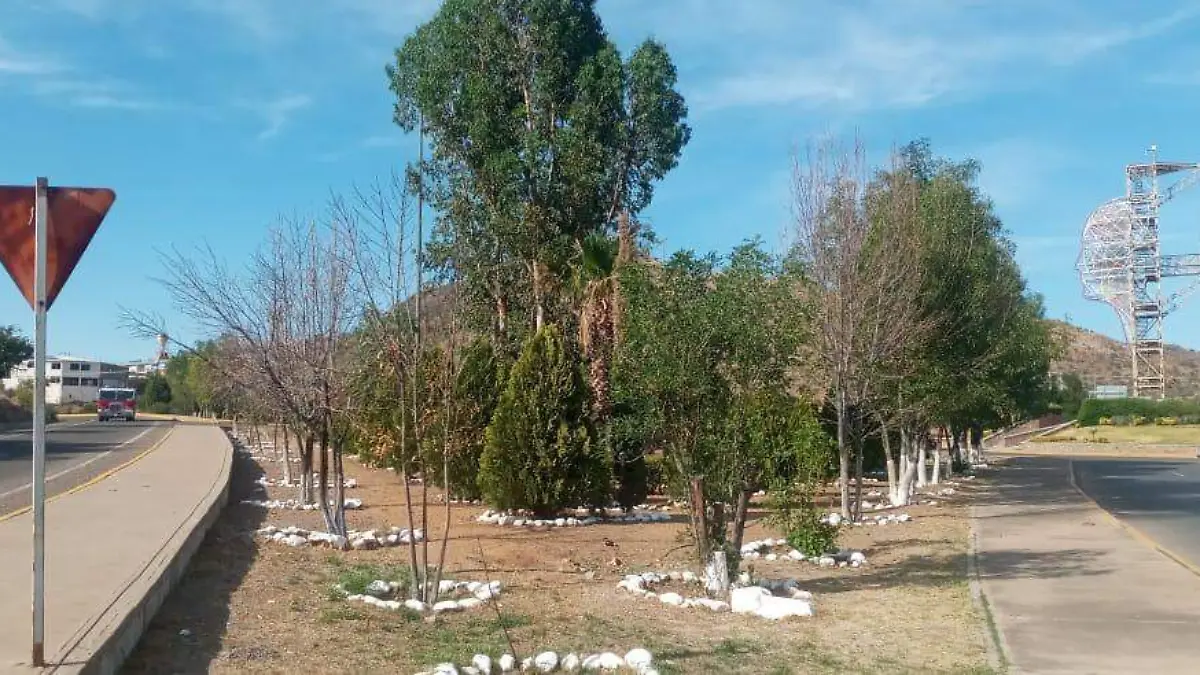 arboles