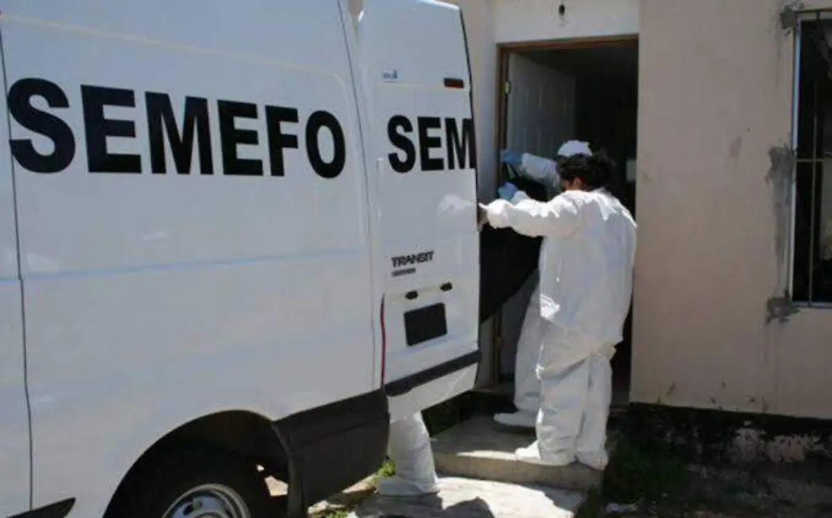 SEMEFO